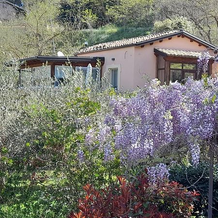 פיאצה ארמרינה Villa Clementine מראה חיצוני תמונה